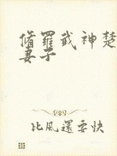 修罗武神楚枫的妻子封面