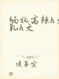 缅北高辣h文乱乳h文