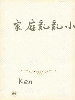 家庭乱乱小说封面