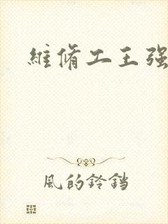 维修工王强张婷