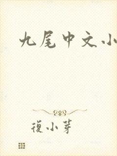 九尾中文小说网封面