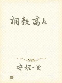 调教高h