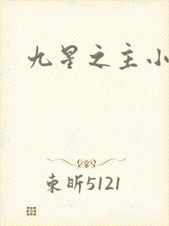 九星之主小说