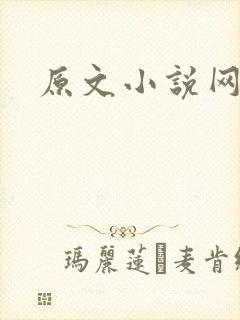 原文小说网