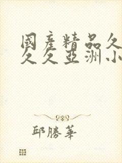 国产精品久久久久久亚洲小说