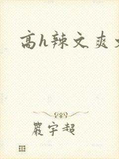 高h辣文爽文封面
