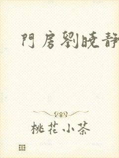 门房刘晓静封面
