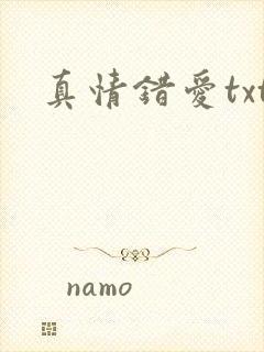 真情错爱txt封面