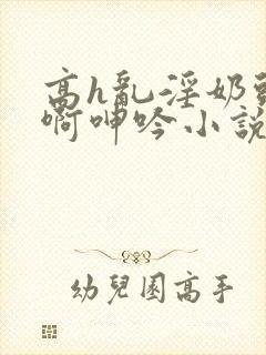 高h乱淫奶头嗯啊呻吟小说封面