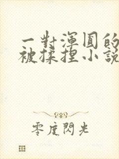 一对浑圆的胸乳被揉捏小说