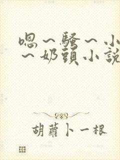 嗯～骚～小淫妇～奶头小说封面