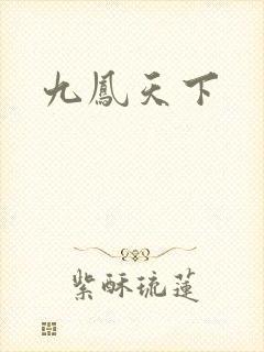 九凤天下
