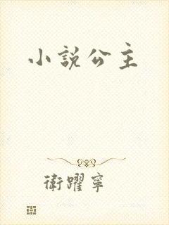 小说公主封面