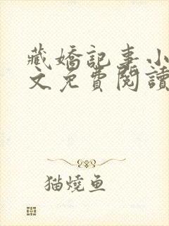 藏娇记事小说全文免费阅读