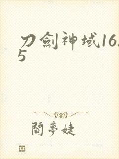 刀剑神域16.5封面