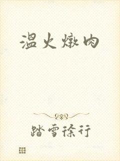 温火炖肉