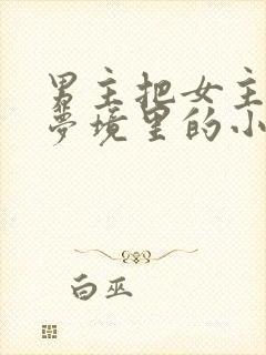 男主把女主拖进梦境里的小说