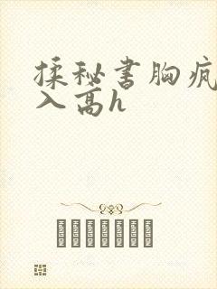 揉秘书胸疯狂进入高h