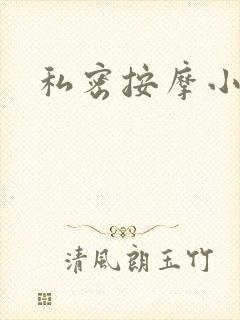 私密按摩小说