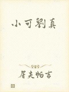 小可刘真封面
