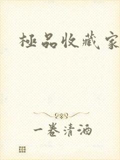 极品收藏家封面