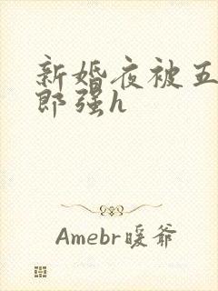 新婚夜被五个伴郎强h