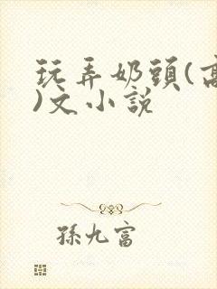 玩弄奶头(高h)文小说