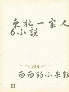 东北一家人1一6小说封面