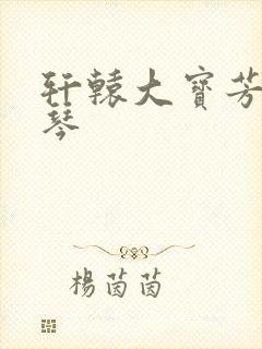 轩辕大宝芳菲雅琴