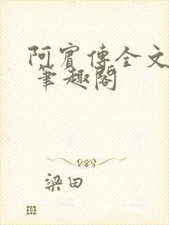 阿宾传全文阅读 笔趣阁