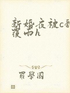 新婚夜被c翻云覆雨h封面