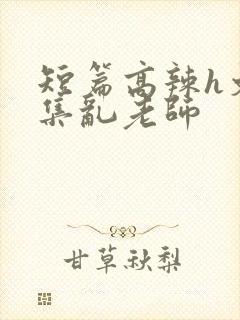 短篇高辣h文合集乱老师
