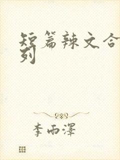 短篇辣文合集系列封面