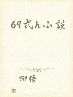 69式h小说封面