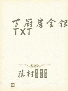 下厨房金银花露 TXT