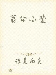 翁公小莹