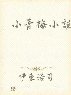 小青梅小说