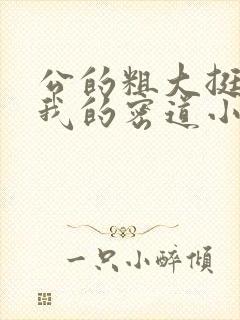 公的粗大挺进了我的密道小说封面