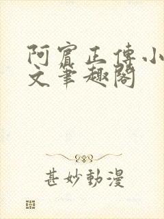 阿宾正传小说全文笔趣阁