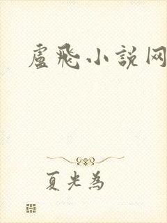 卢飞小说网封面