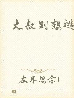 大叔别想逃