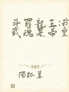 斗罗龙王:我的武魂是帝皇铠甲笔趣阁