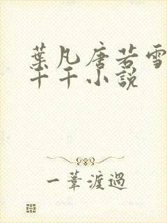 叶凡唐若雪医婿千千小说封面