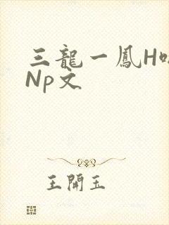 三龙一凤H啪肉Np文