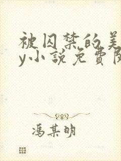 被囚禁的美人by小说免费阅读