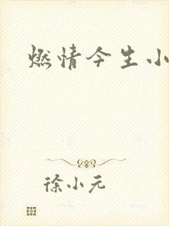 燃情今生小说