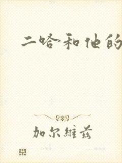 二哈和他的白猫