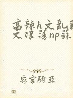 高辣h文乱乳h文浪荡np苏夏