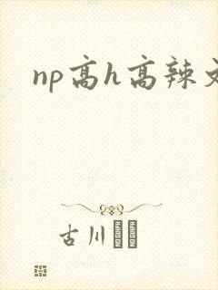 np高h高辣文
