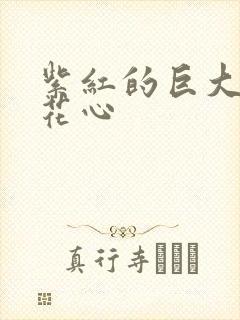 紫红的巨大顶开花心